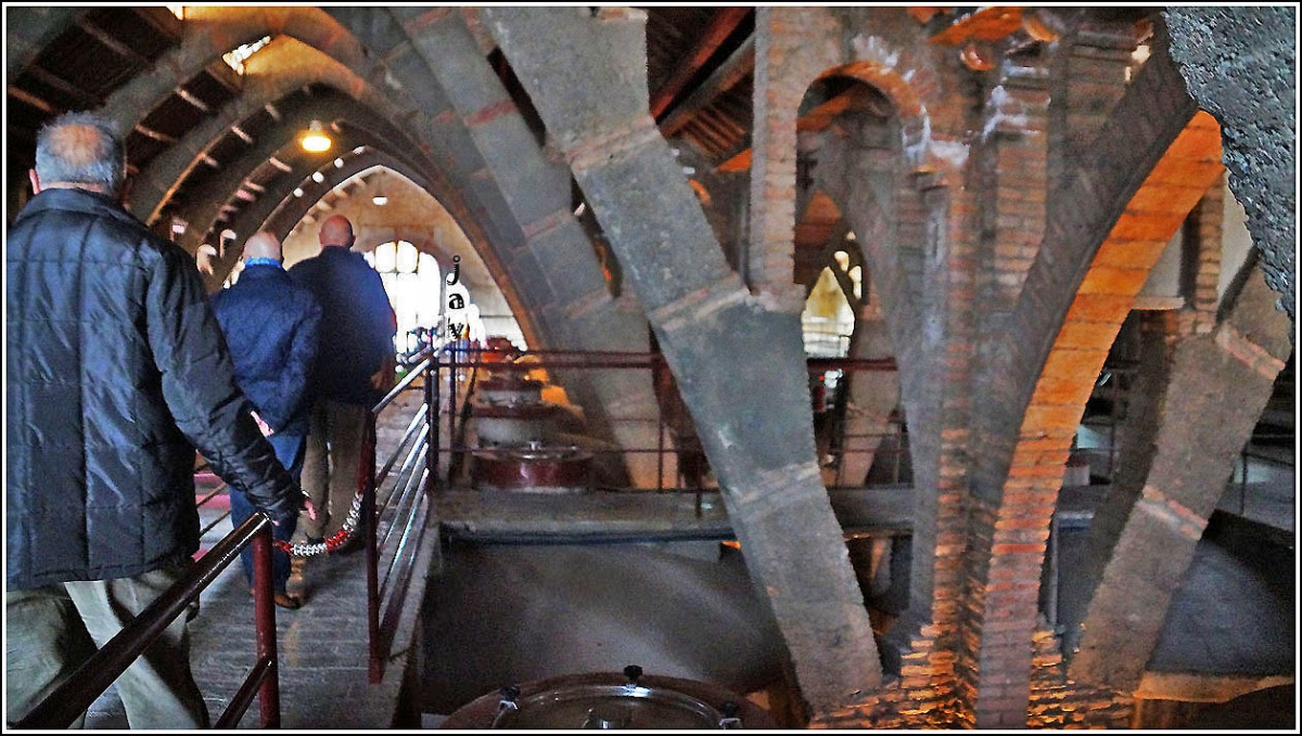 Visita a una bodeha de vino y cava. 25