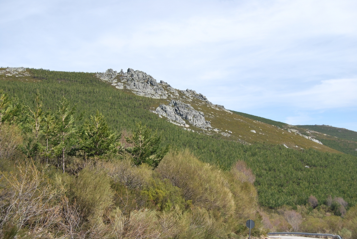 La Cabrera/Cabreira. Len  fcmv