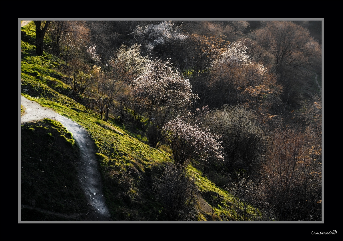 EL SENDERO Y LOS ABISMOS