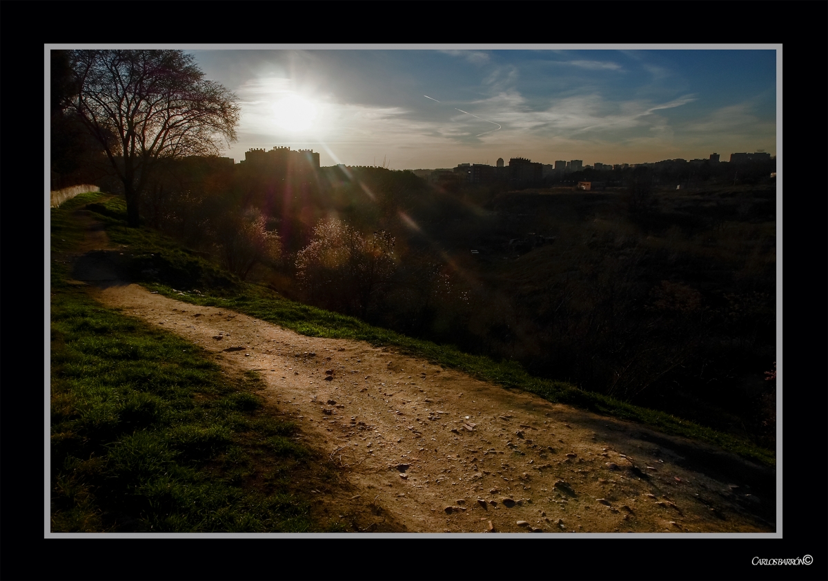 LAS MGICAS LUCES DE LA TARDE