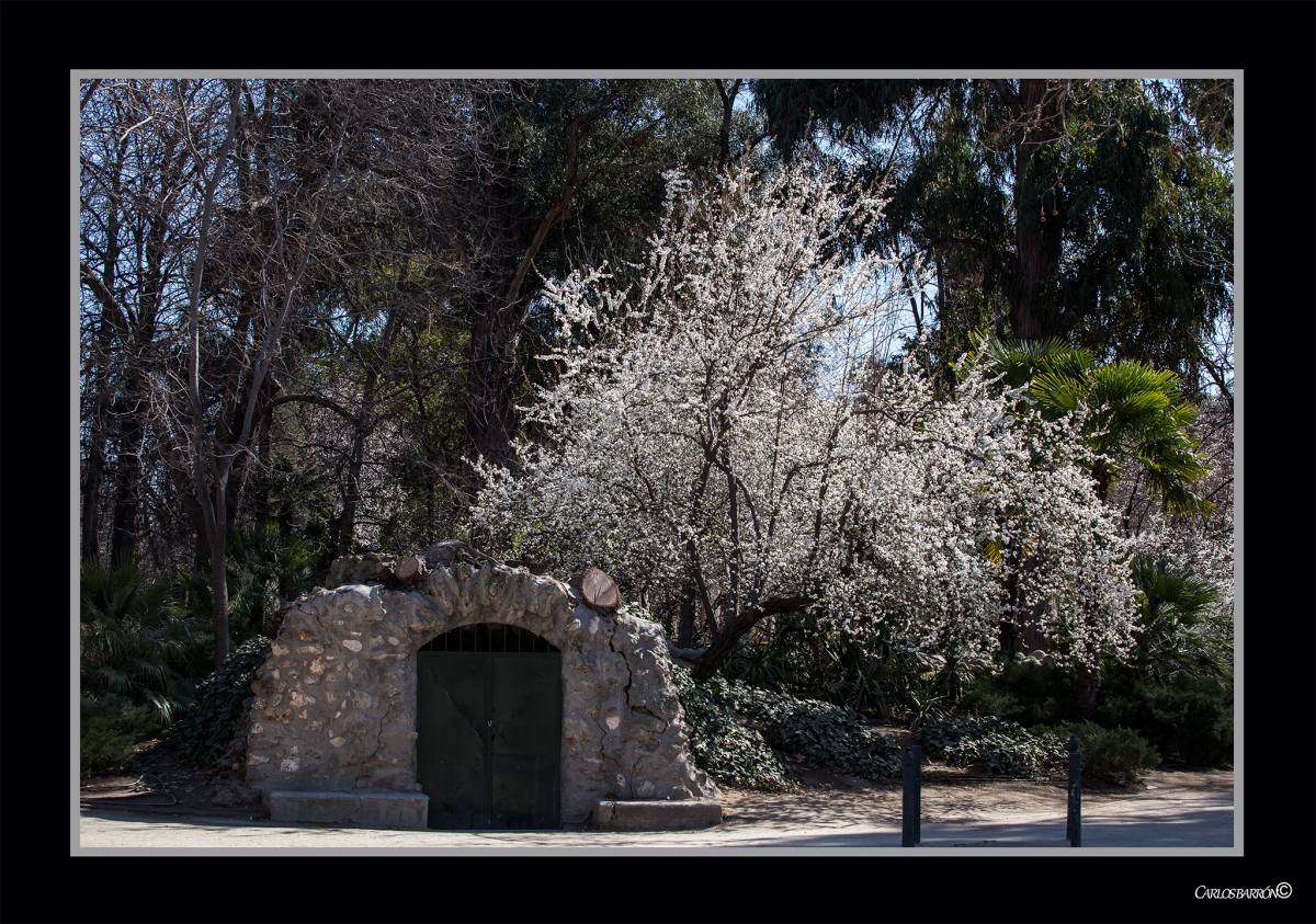 LA CASETA DEL ALMENDRO