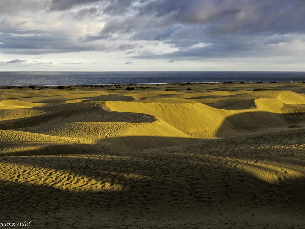 ATARDECER EN LAS DUNAS