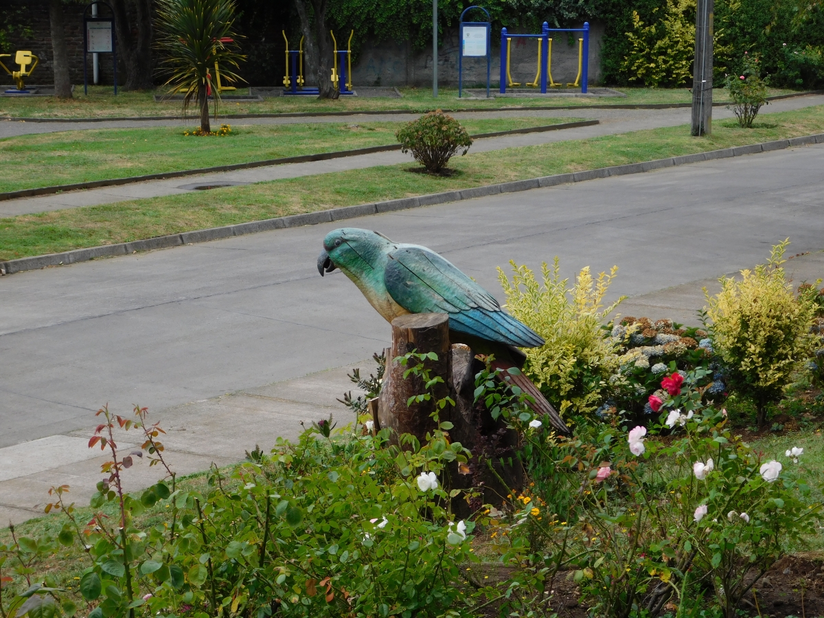 El loro parlanchn