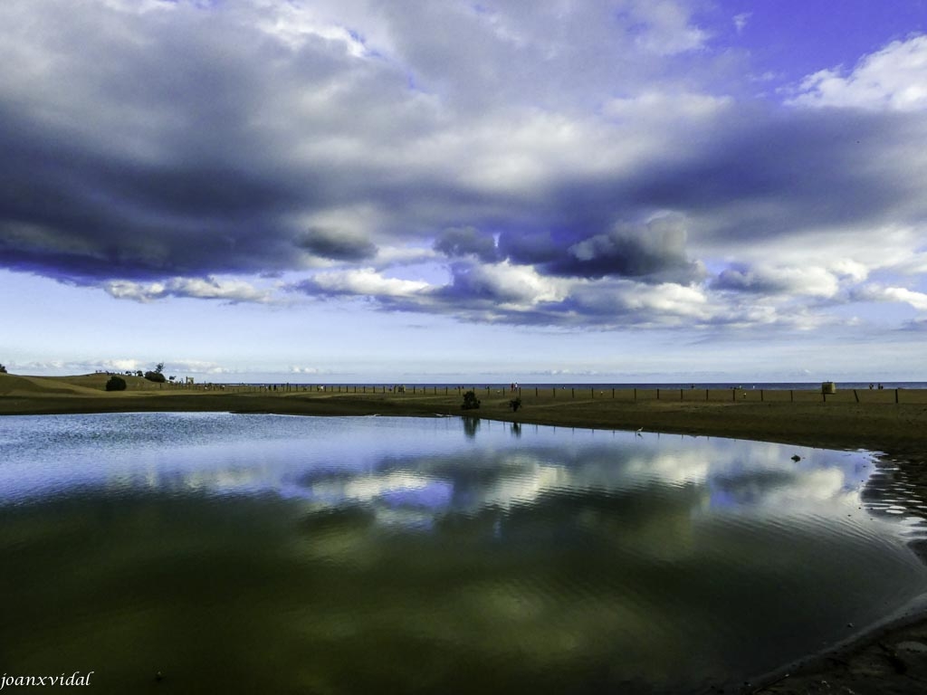 CHARCA DE MASPALOMAS