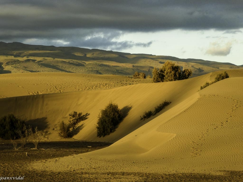 ATARDECER EN LAS DUNAS