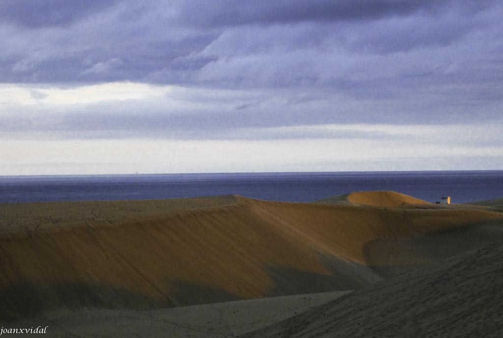 AMANECER EN LAS DUNAS