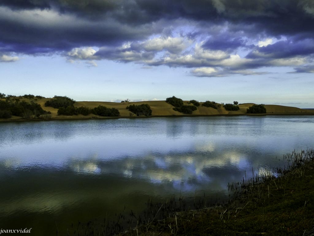 CHARCA DE MASPALOMAS