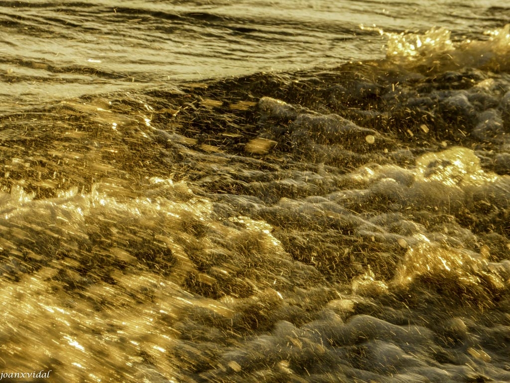 OLAS DORADAS