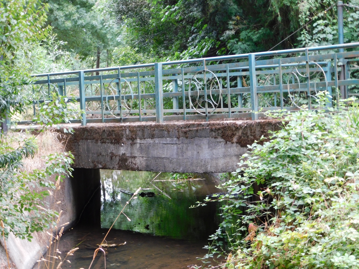 Un pequeo puente daado con el tiempo