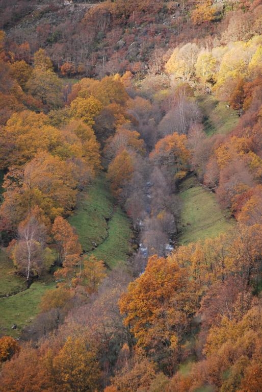 Val outonal. Vilario de Conso fcmv