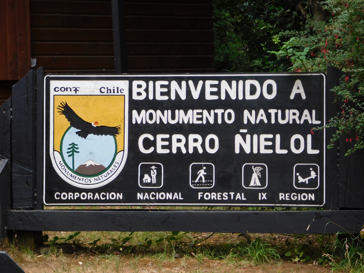 Cerro lleno de bosques y miradores, turistico