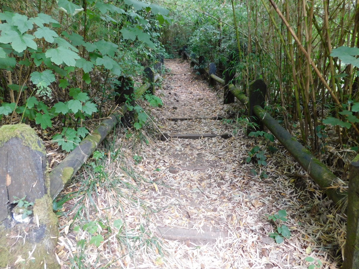 Algunos parajes del cerro ielol