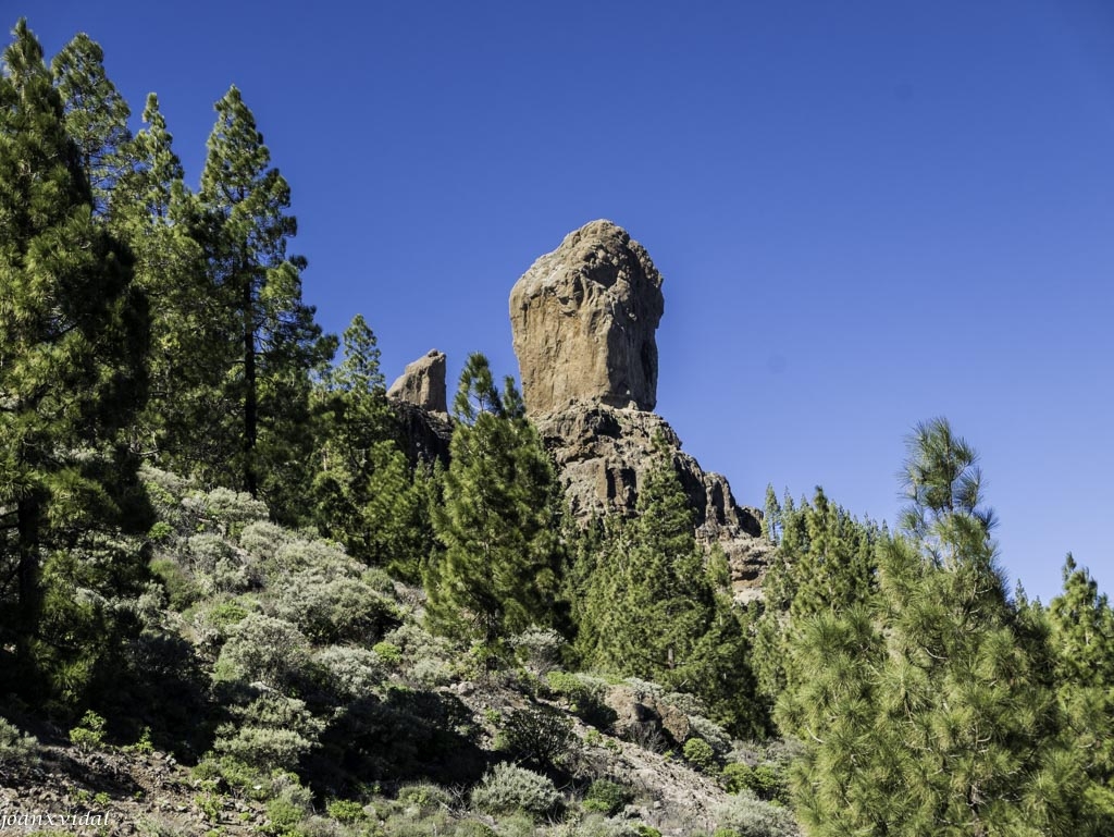 ROQUE NUBLO