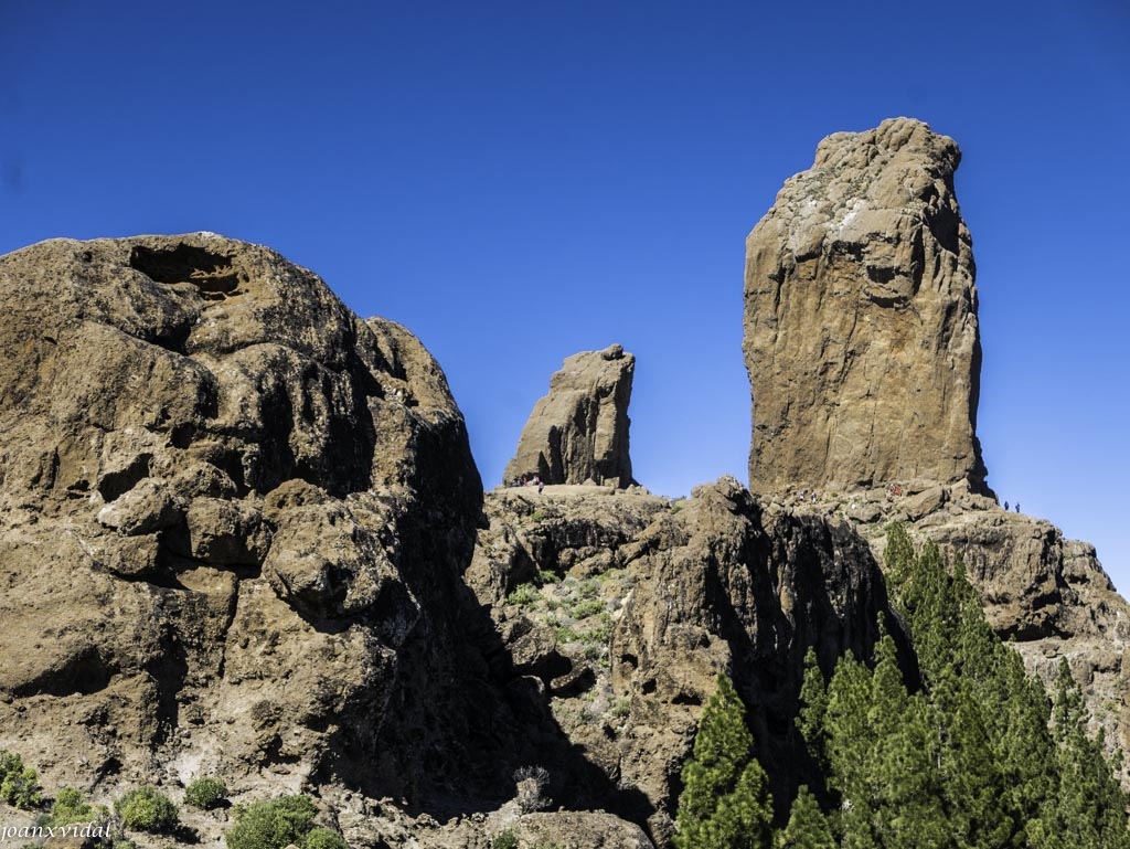 ROQUE NUBLO