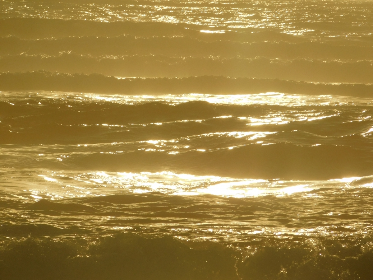 Las olas del mar son doradas jajajajaja