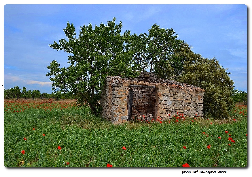 La Segarra II (Lleida)