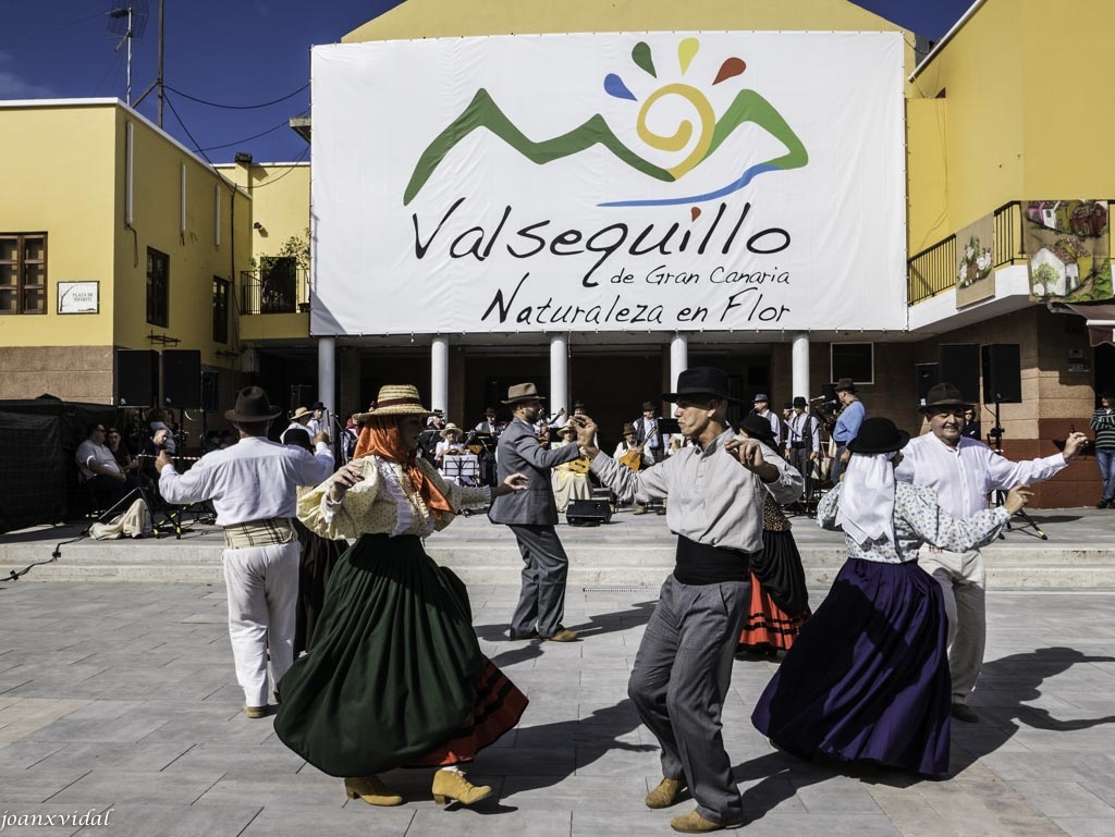 VALSEQUILLO EN FLOR