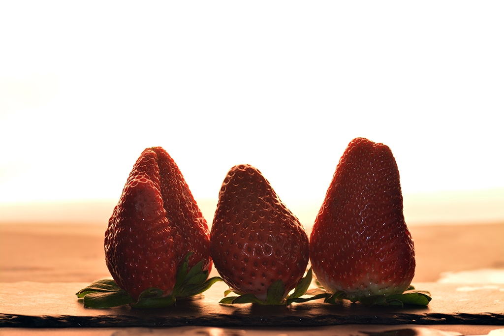 Fresas.