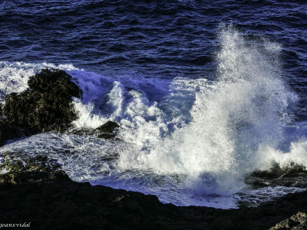 PUNTA DE SARDINA