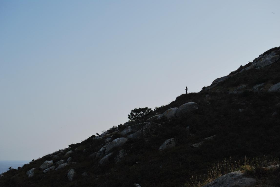 Illas Ces. Parque Nacional das Illas Atlnticas. Vigo. Pontevedra DPLF
