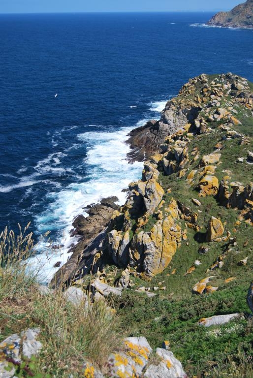 Illas Ces. Parque Nacional das Illas Atlnticas. Vigo. Pontevedra  DPLF