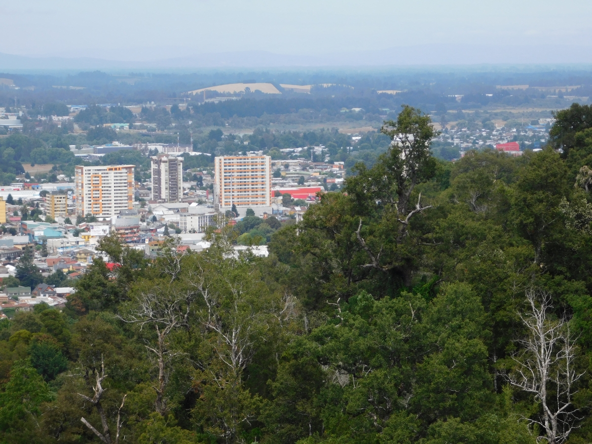 Otra vista de Temuco