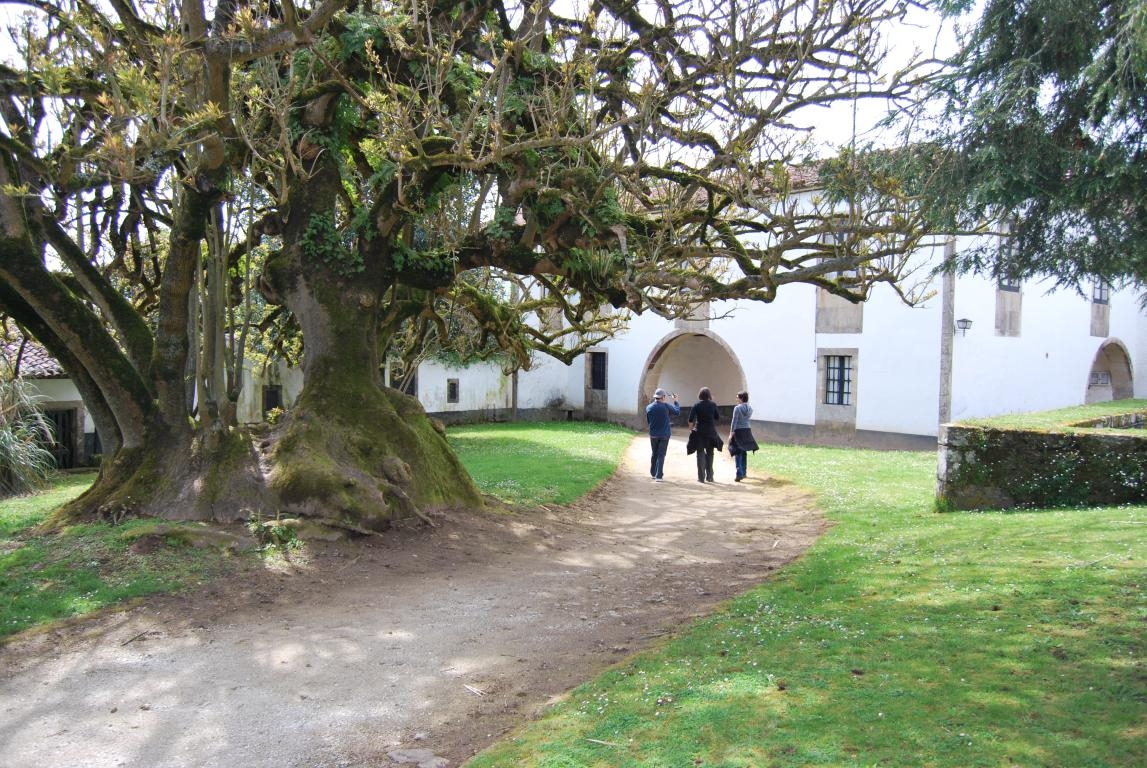 Pazo de Ortigueira. Santa Cruz de Ribadulla. Vedra