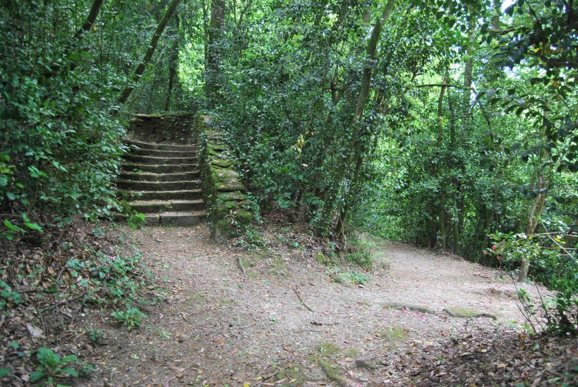 Pazo de Ortigueira. Santa Cruz de Ribadulla. Vedra