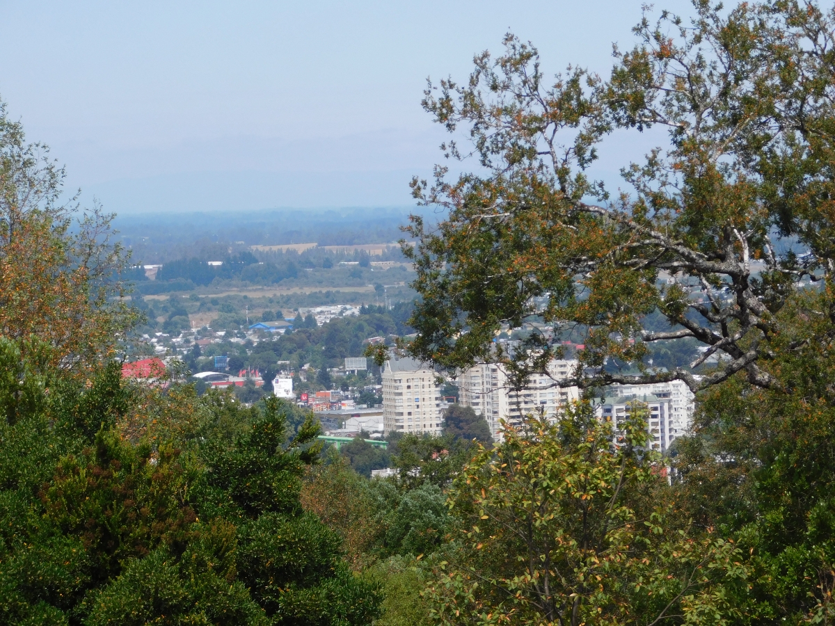 Otra vista parcial de Temuco