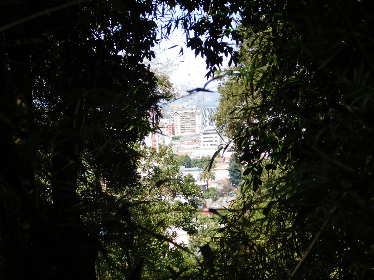 Encontre una ventana para sacar parte de la ciudad de Temuco