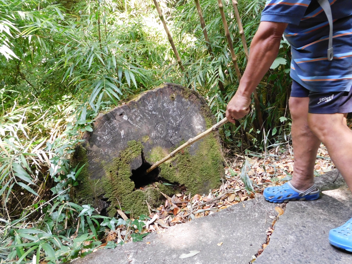 Cuidado con la culebra, no la despiertes jjajajajaja