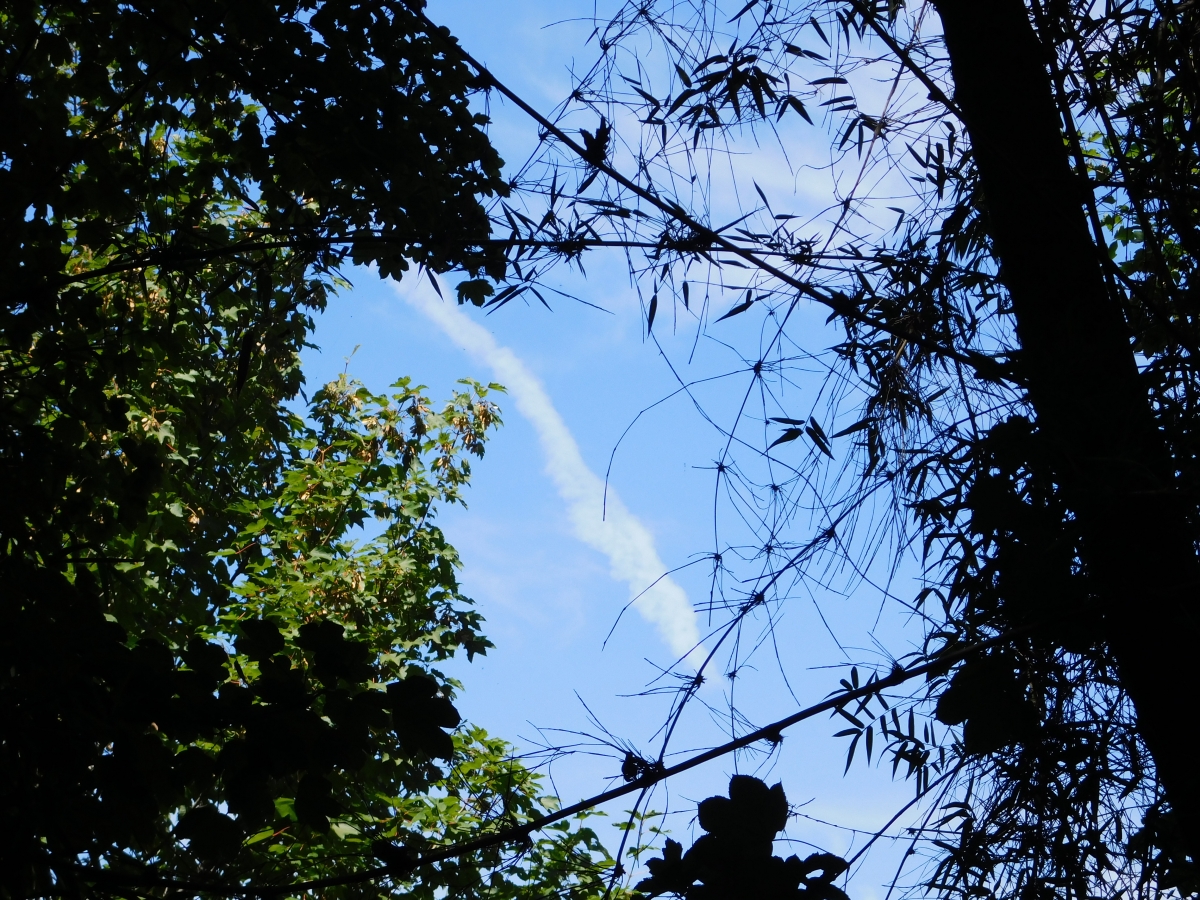 Mirando el cielo encontr la estela de un avin