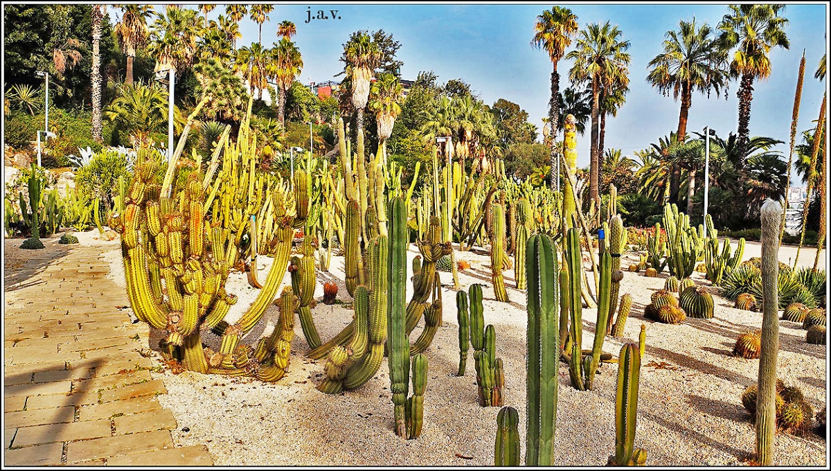 Jardins del Mosn Costa y Llobera. 52