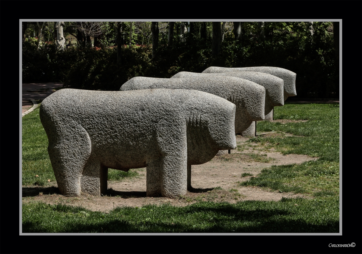 ESTOS SON LOS NICOS TOROS QUE QUIERO VER EN MI PAS