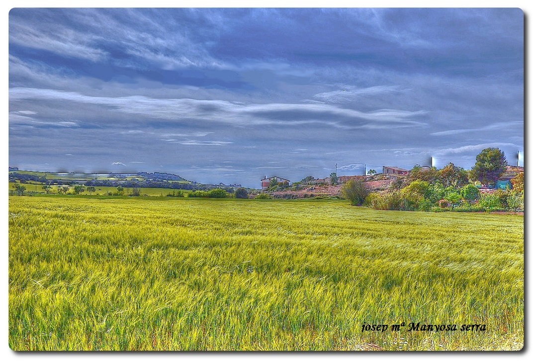 Tarda amb vent a la Segarra