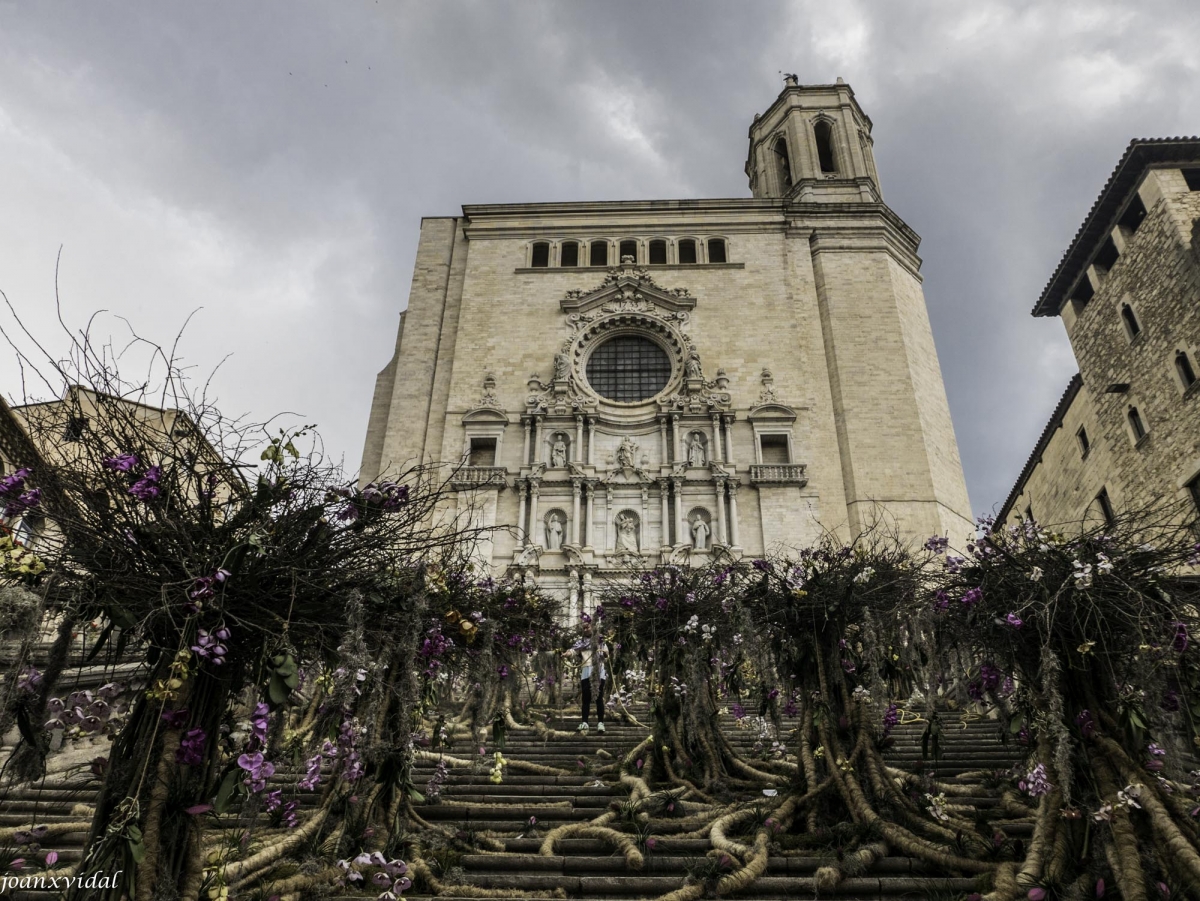 ESCALES DE LA CATEDRAL