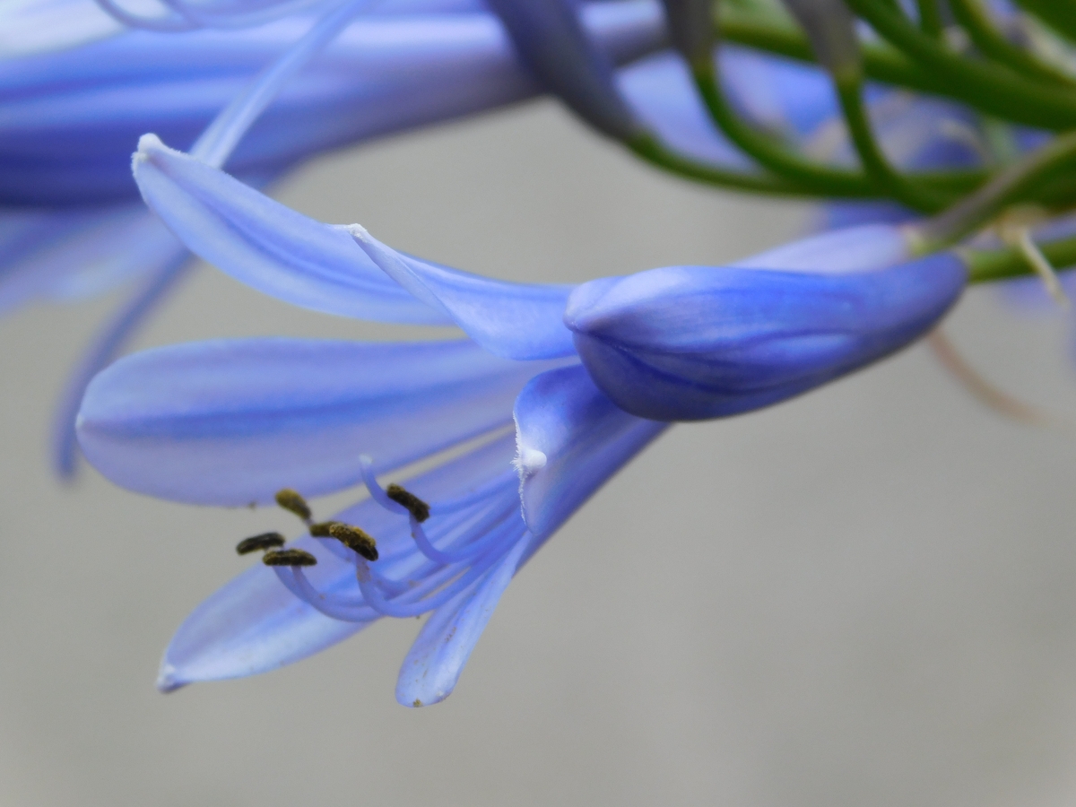 La belleza de la naturaleza uno la puede admirar de distintas formas y nunca se cansar de ella 