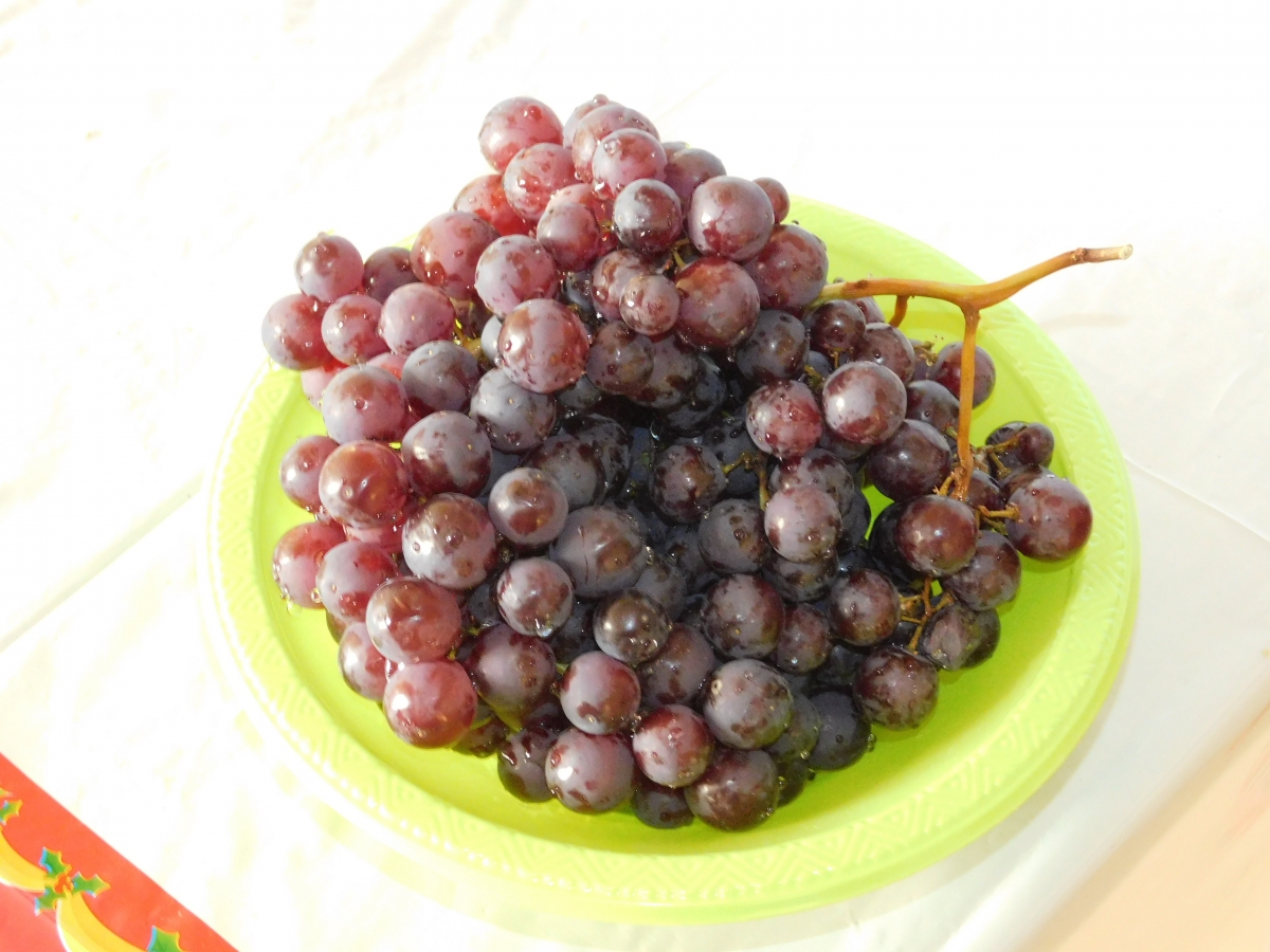 Que rica es la uva y adems te hace bien para tu salud