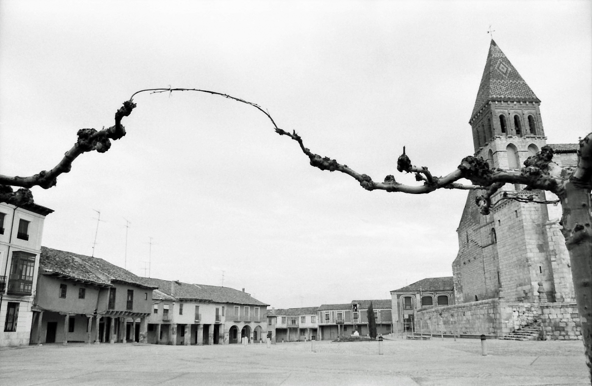 Paredes de Nava