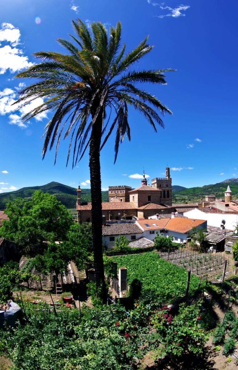 Monasterio de Guadalupe II