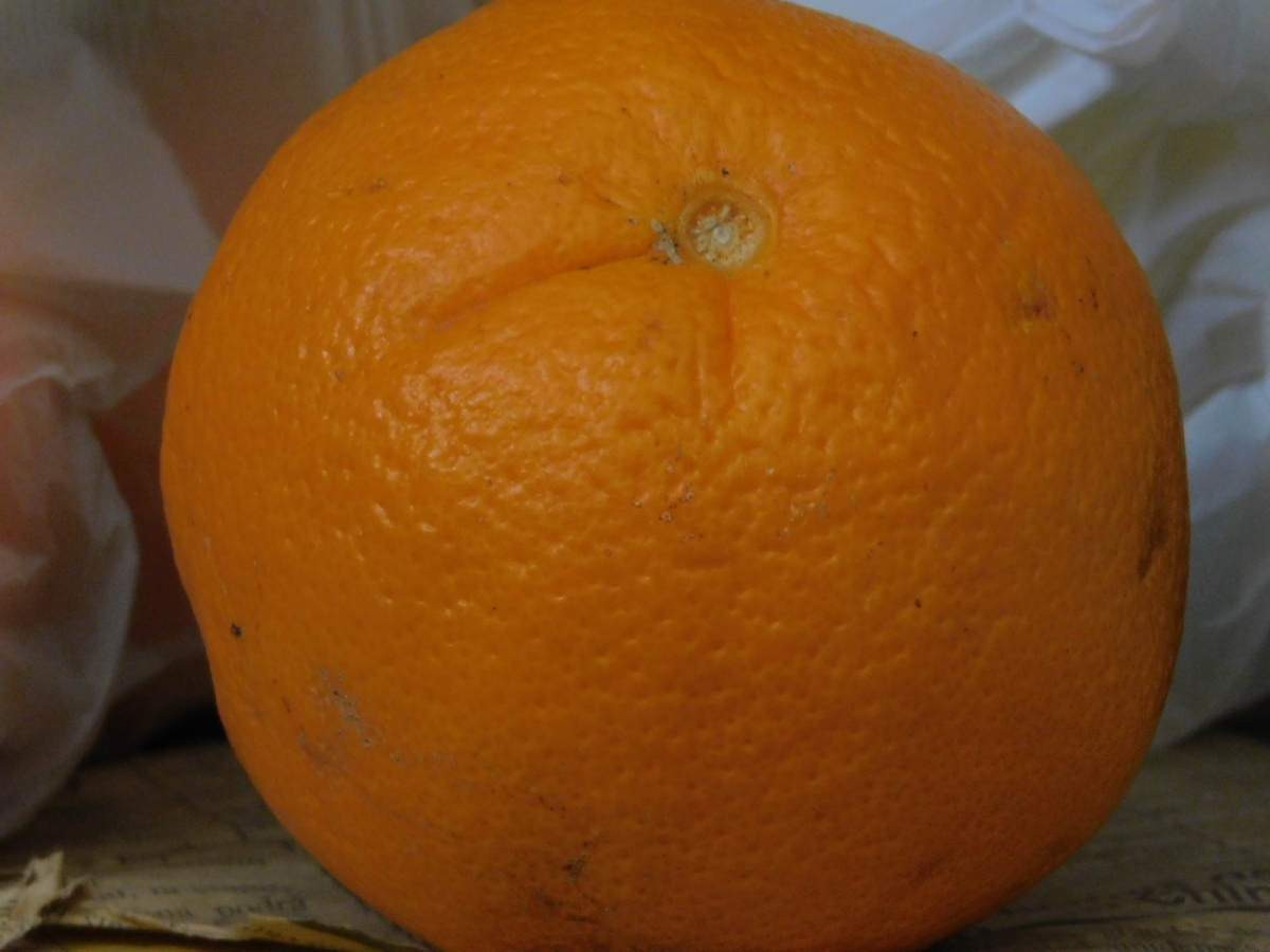 Y para refrescarnos exprimamos esta jugosa naranja, que delicia jajajajaj