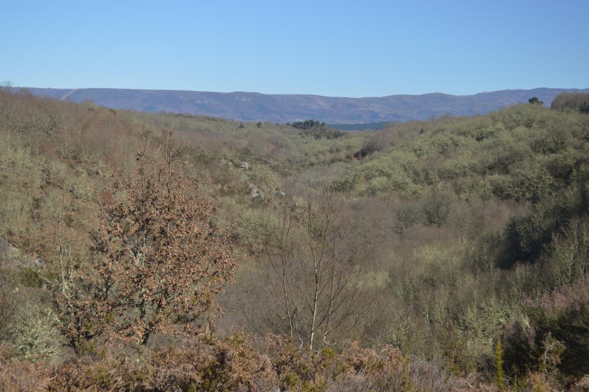 Val do Arnoia. Xunqueira de Ambo. Ourense
