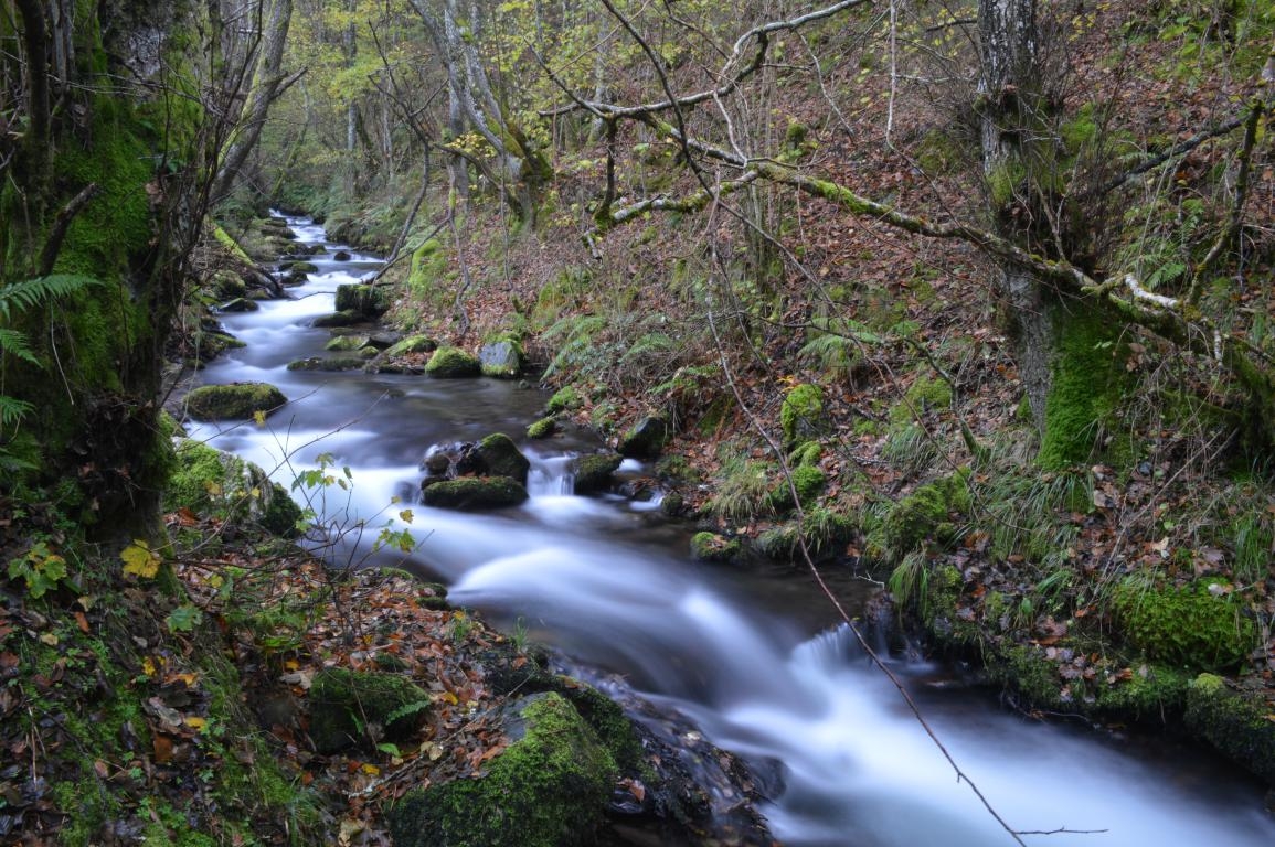 Pealba de Santiago. Ponferrada. Bierzo. Len. byJOM