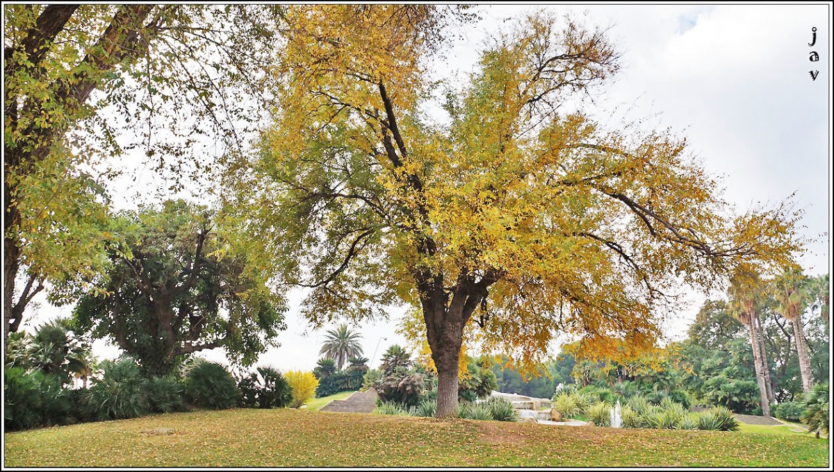 Parc de Montjuc. 71