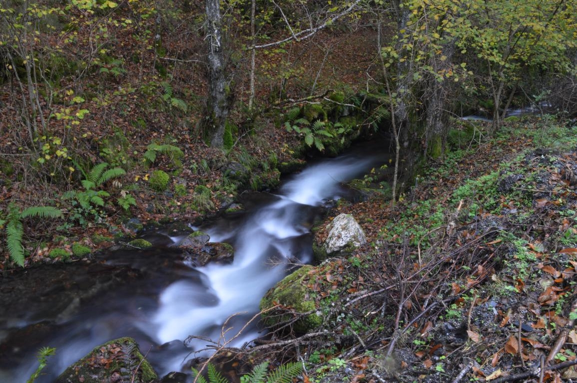 Pealba de Santiago. Ponferrada. Bierzo.