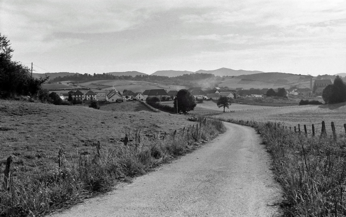 Camino de Santiago 1