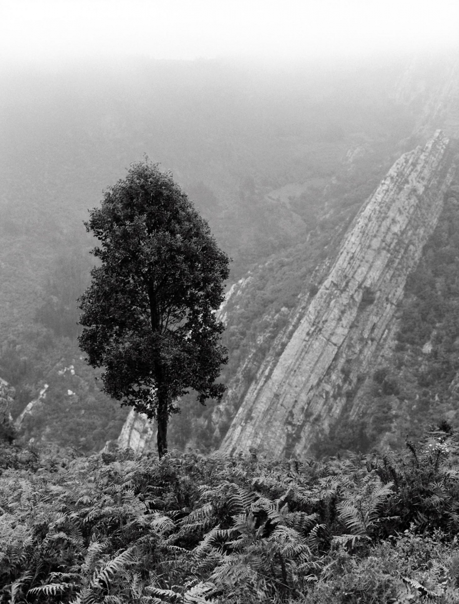 Asturias vertiginosa 1