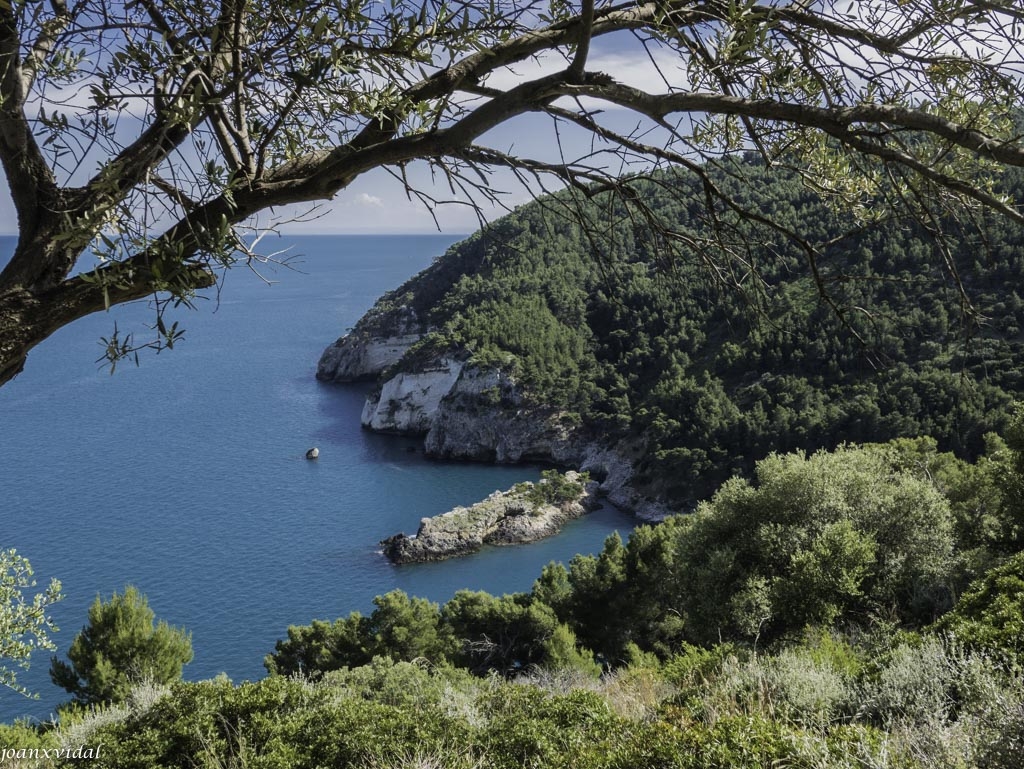 COSTA DEL GARGANO