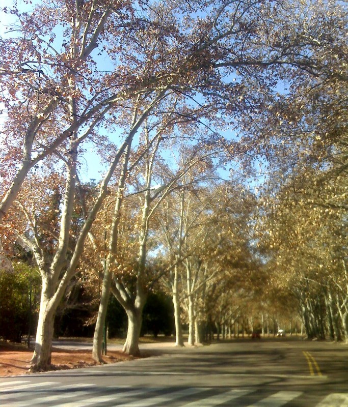 Parque San Martin