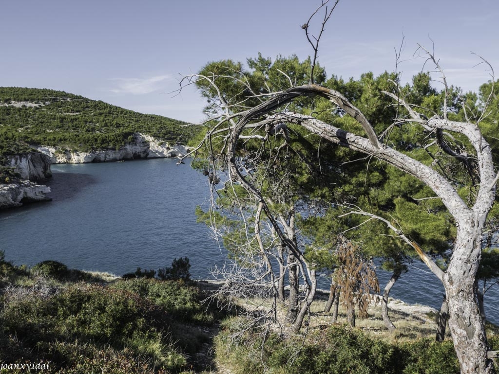 COSTA DEL GARGANO